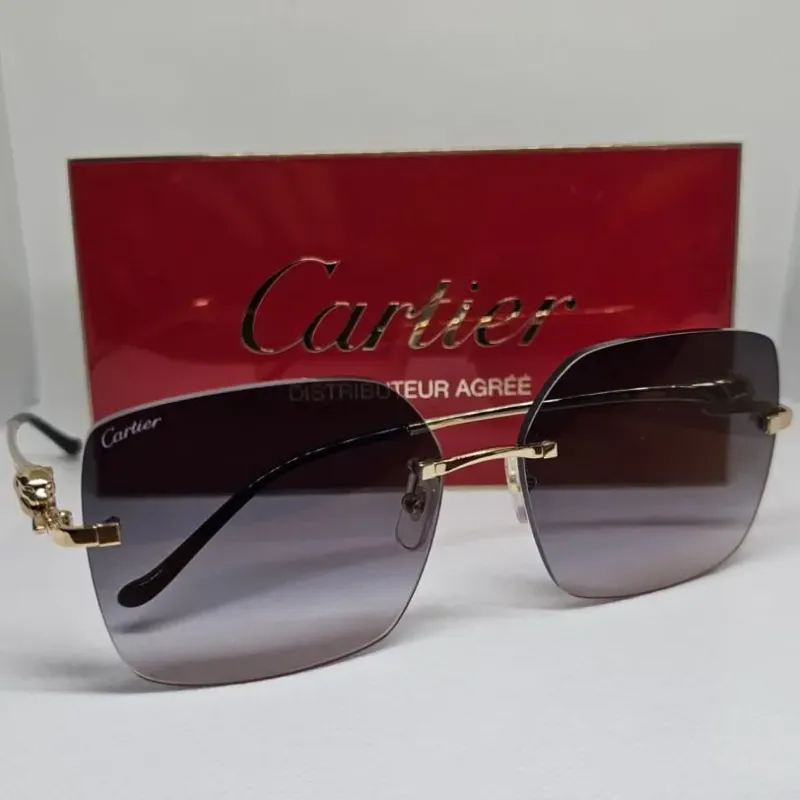 Monture Cartier — Lynx Optique Solarci, Abidjan